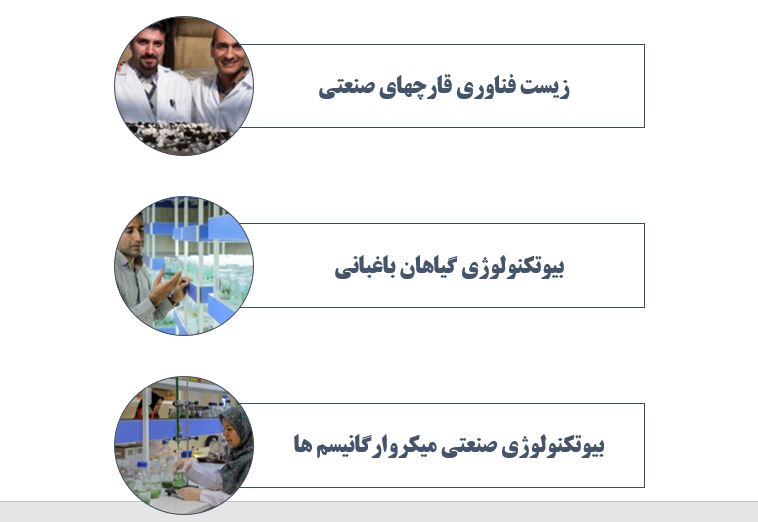 شورای